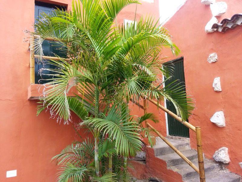 Apartmento Tabares Техина Экстерьер фото